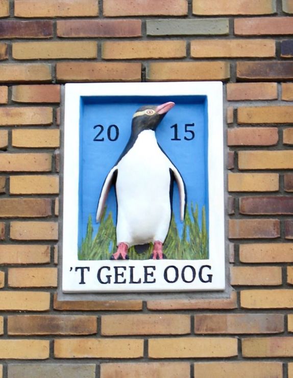 Het Gele Oog Het Gele Oog